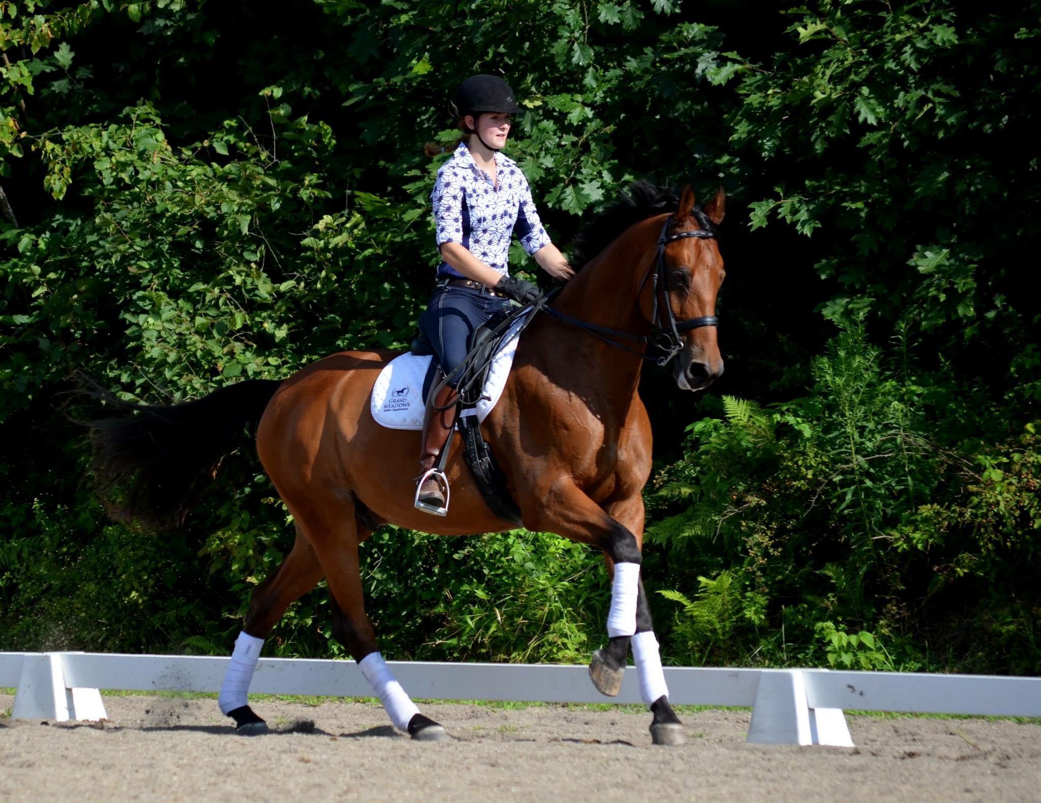 Interview with Dressage for Juniors